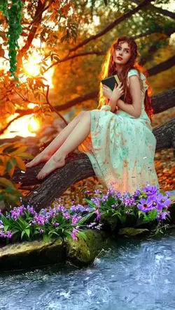 Fine Natural view