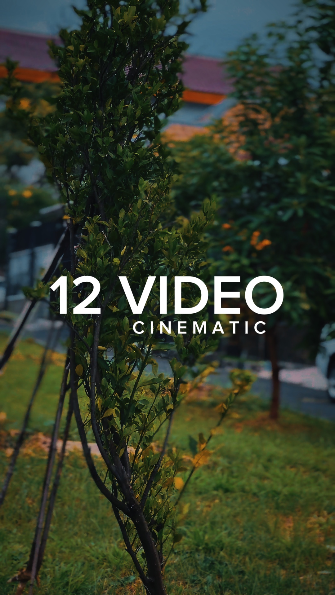 Cinematic 12 Vídeo