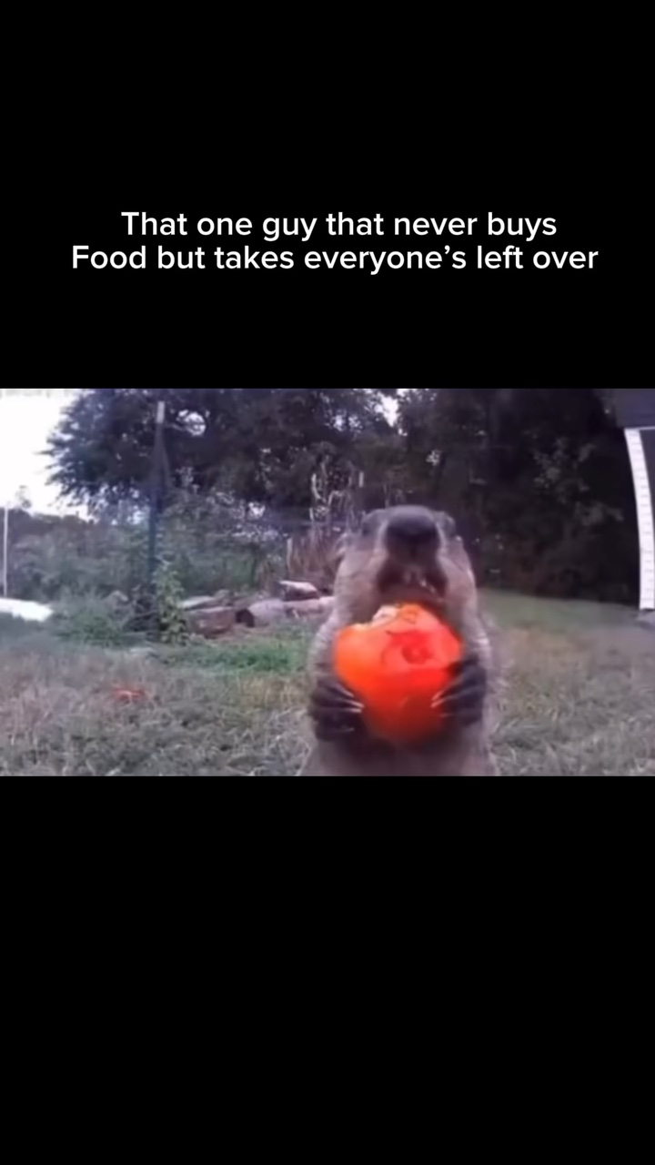 Food meme