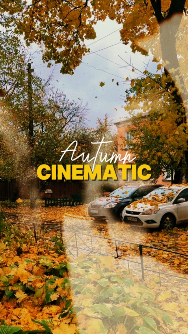 Cinématique d'automne