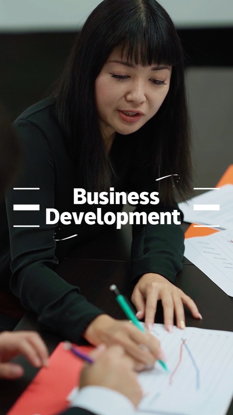 Pengembangan bisnis