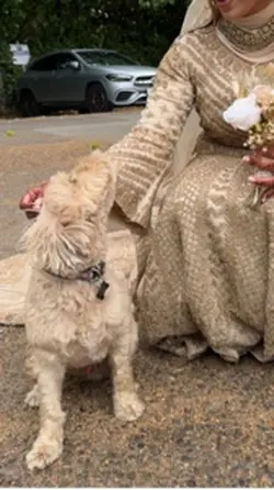 Wedding details 