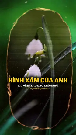 HÌNH XĂM CỦA ANH