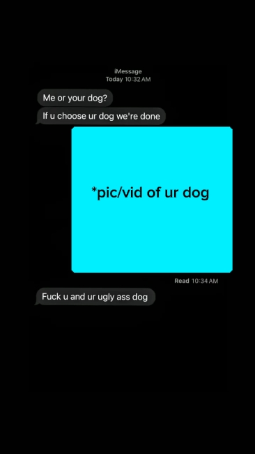 * köpeğinizin resmi / videosu
