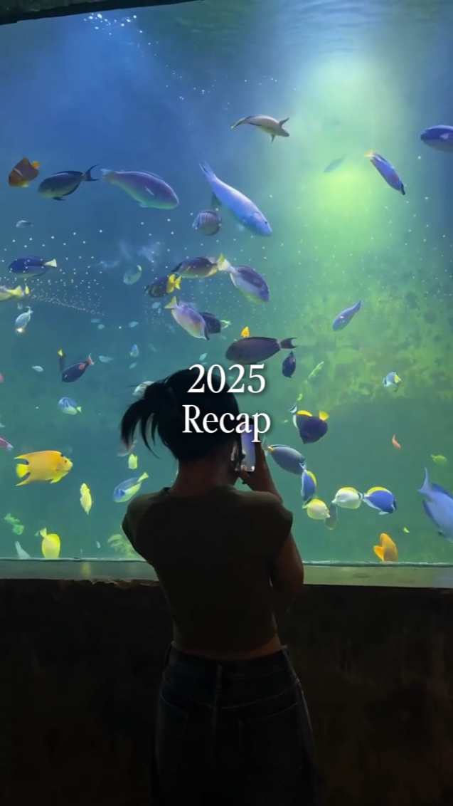 Resumen de 2025