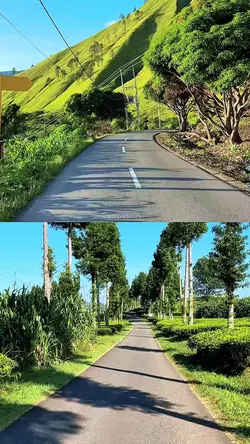 2 video 1 collage