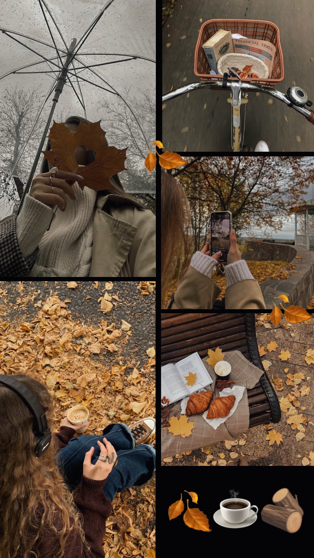 Autumn 5 pics