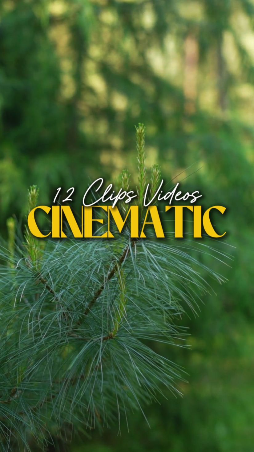 CINEMATIC 12 VIDEOS