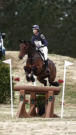 not me!! fake horse