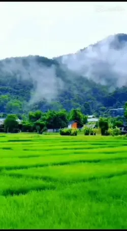 JEJAKMU TUHAN