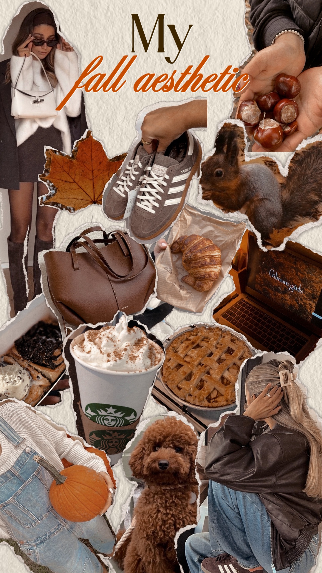 Fall aesthetic 🍁