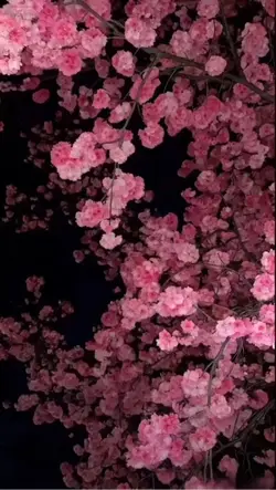 Livewallpaper