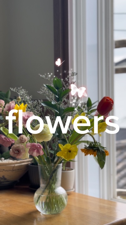 🌺 flowers