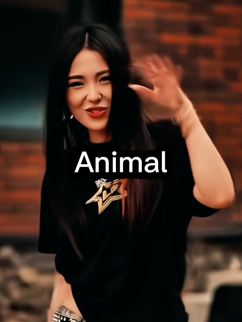 Katseye Animal