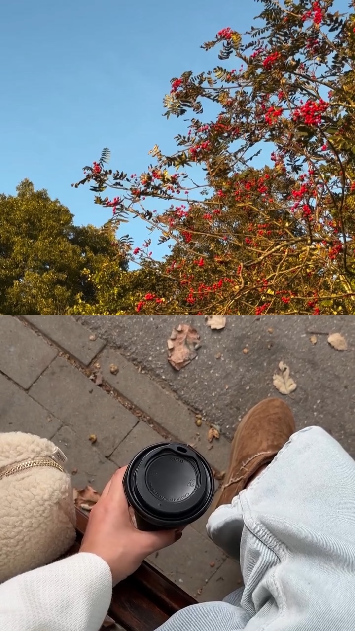 2 grid video 