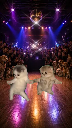 Kitten Dance 🐱🐱