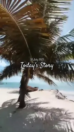 Today's Story