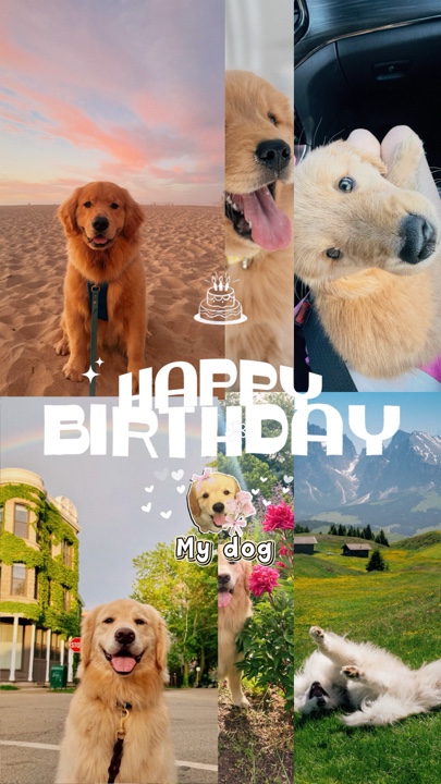 Geburtstag mein Hund 