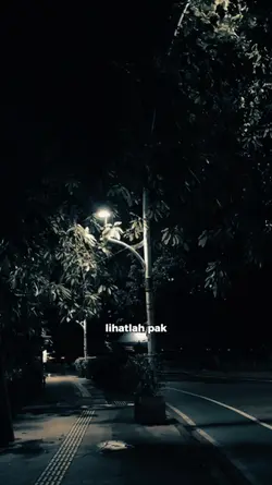lihatlah pak