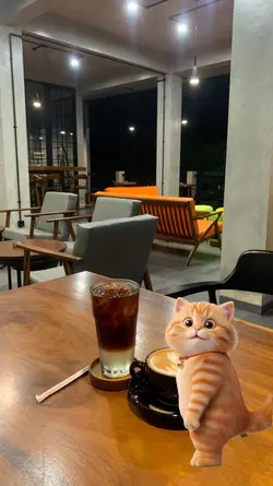 Kucing joget