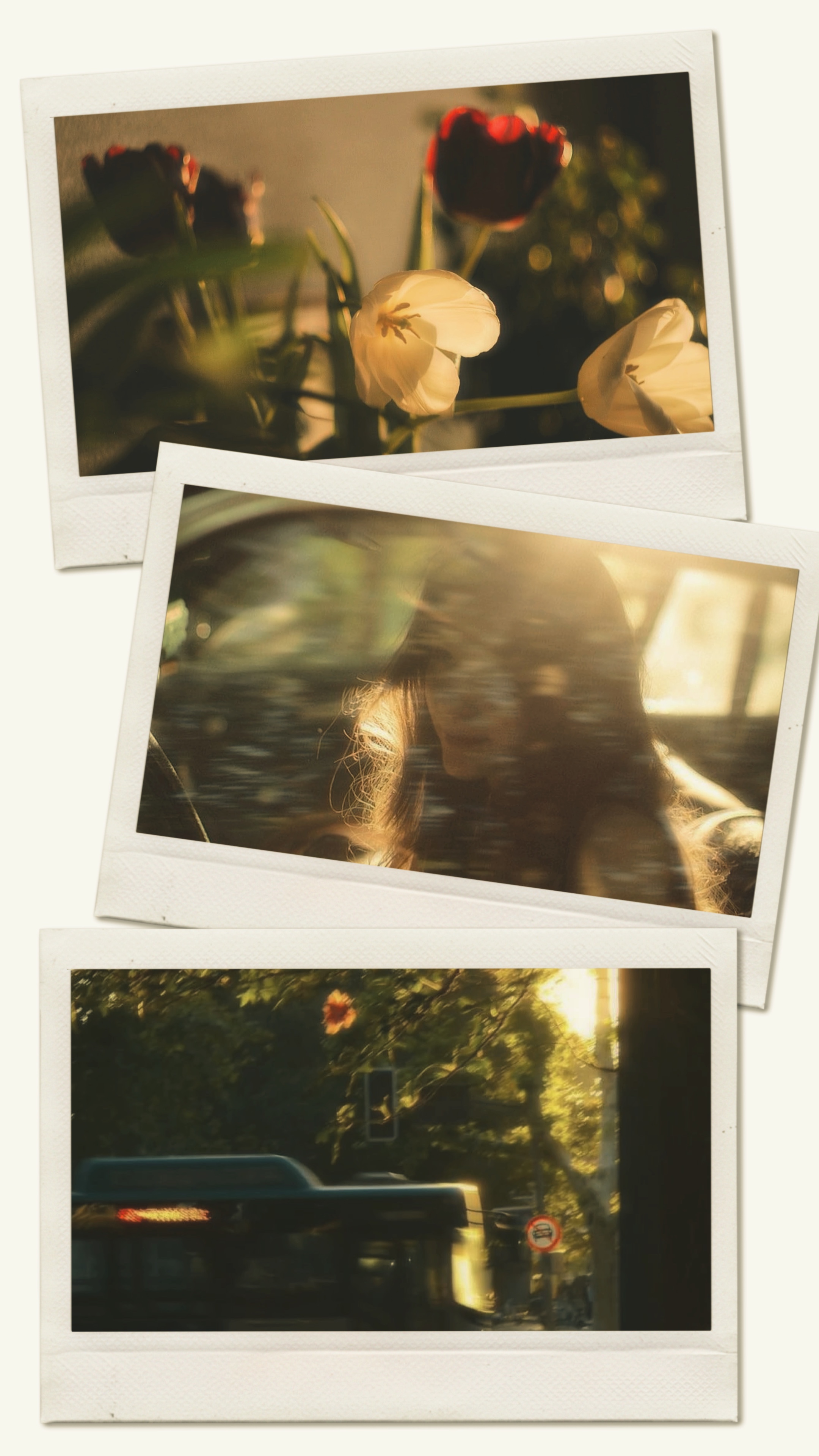 foto 3 frame 