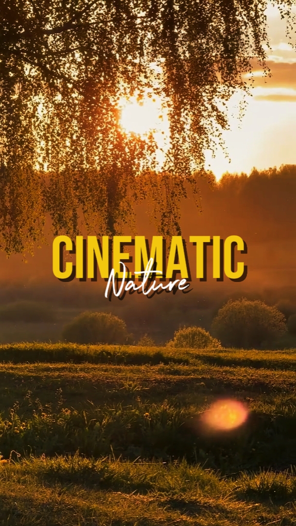 NATURALEZA CINEMÁTICA
