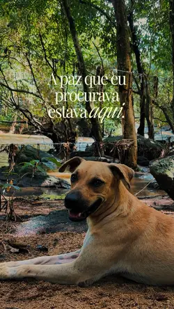 Achei minha paz