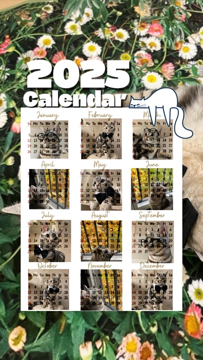 Calendario de gatos 2025