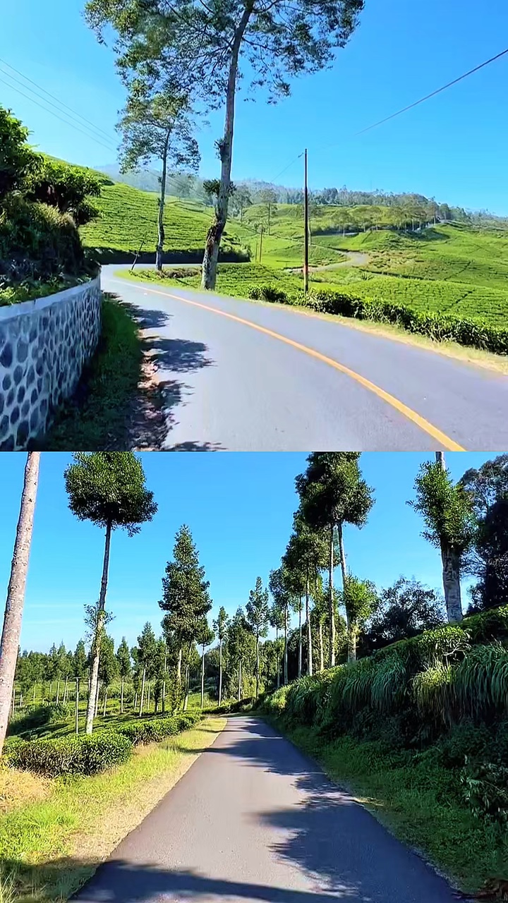 2 videos kolase 