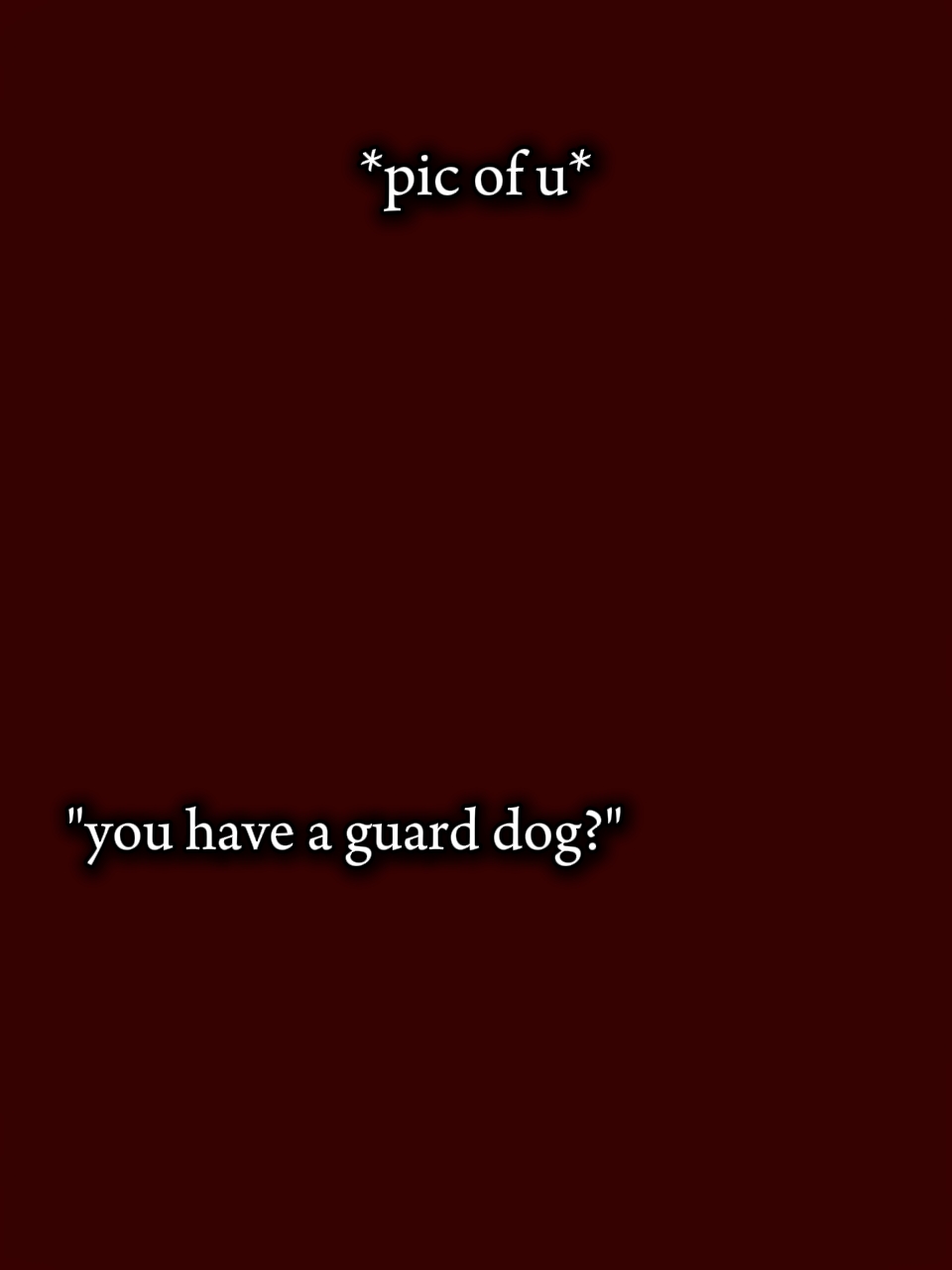 dog