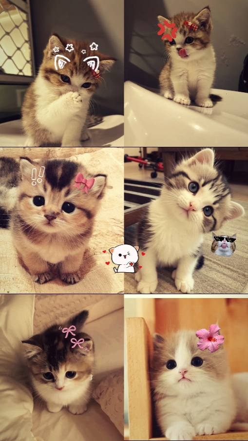 cute