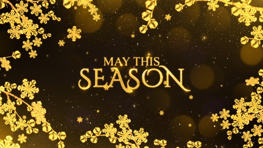 Feliz natal ²