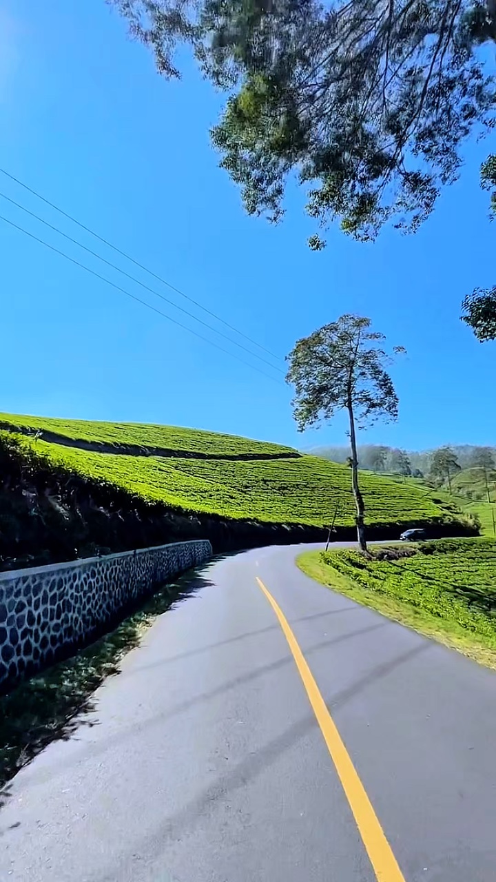 3 filtros de video HD 