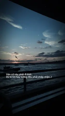 Caption & Màu