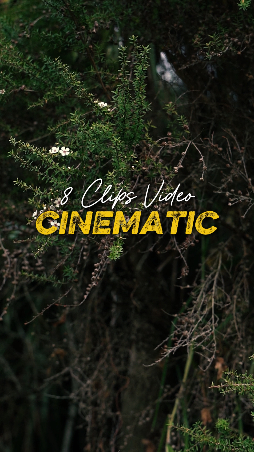 Cinematic 8 Video