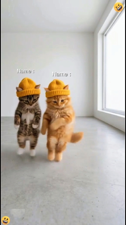 Tanzende Katze