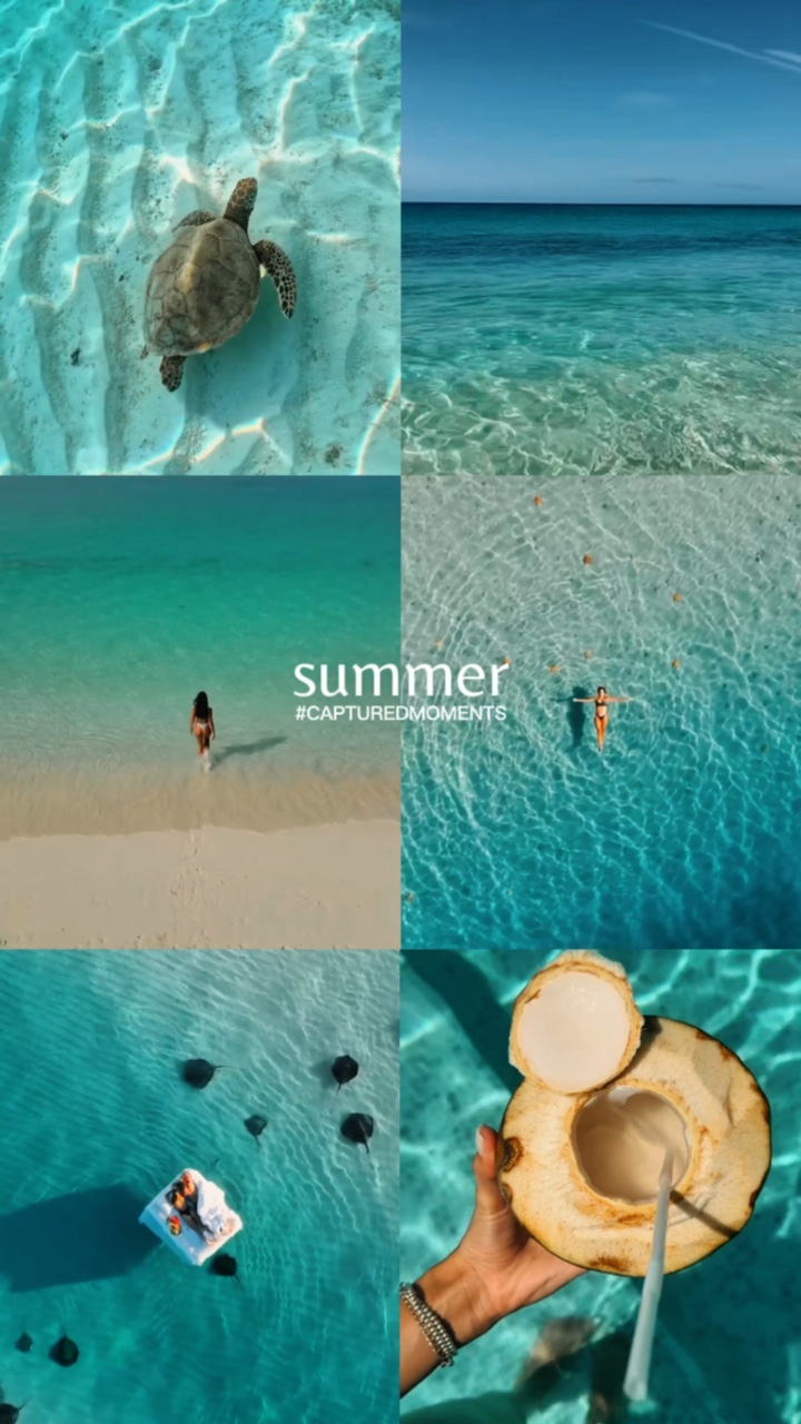 summer recap