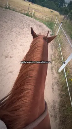 Transition 😻😻