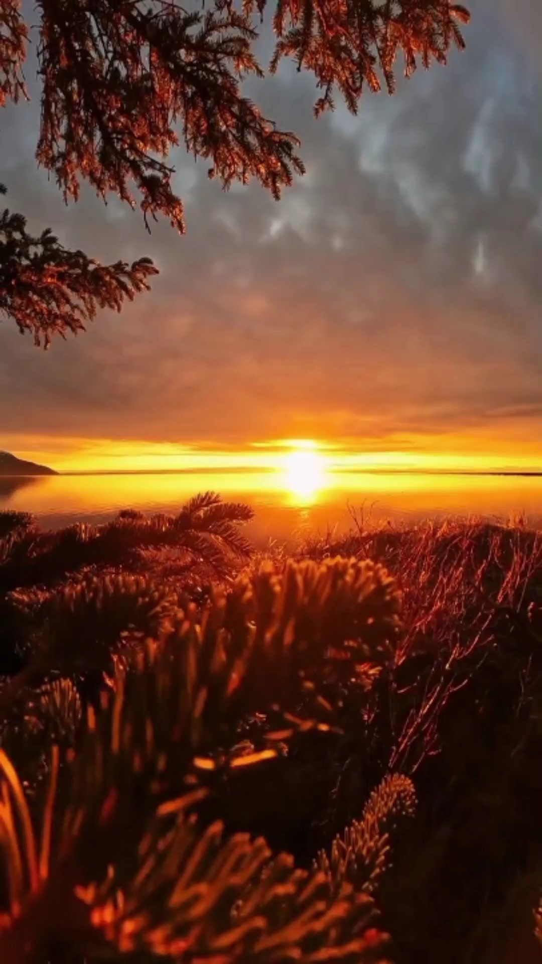 vidio 30detik