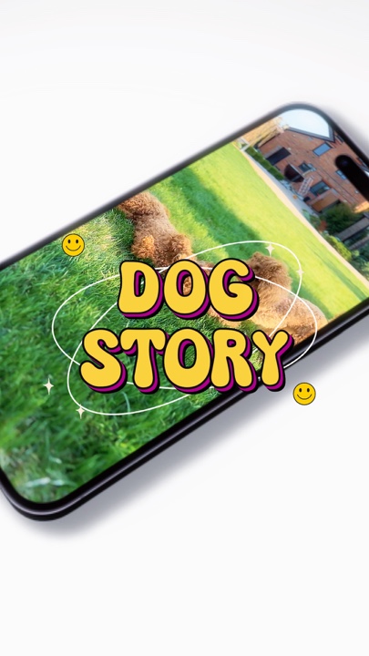Köpek Hikayesi