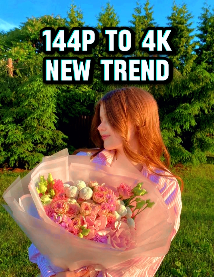 144p Vs 4k Trending