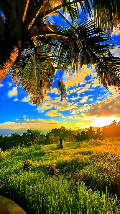 filter ip jernih