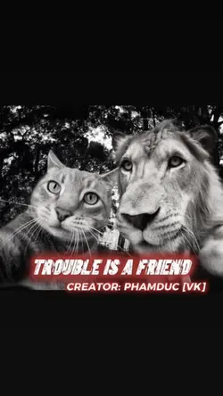 TROUBLE IS A FRIEND