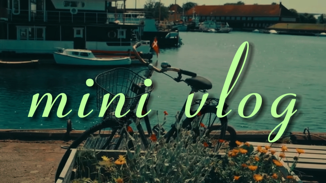 Mini vlog