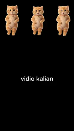 sikocak