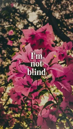 I'm not blind