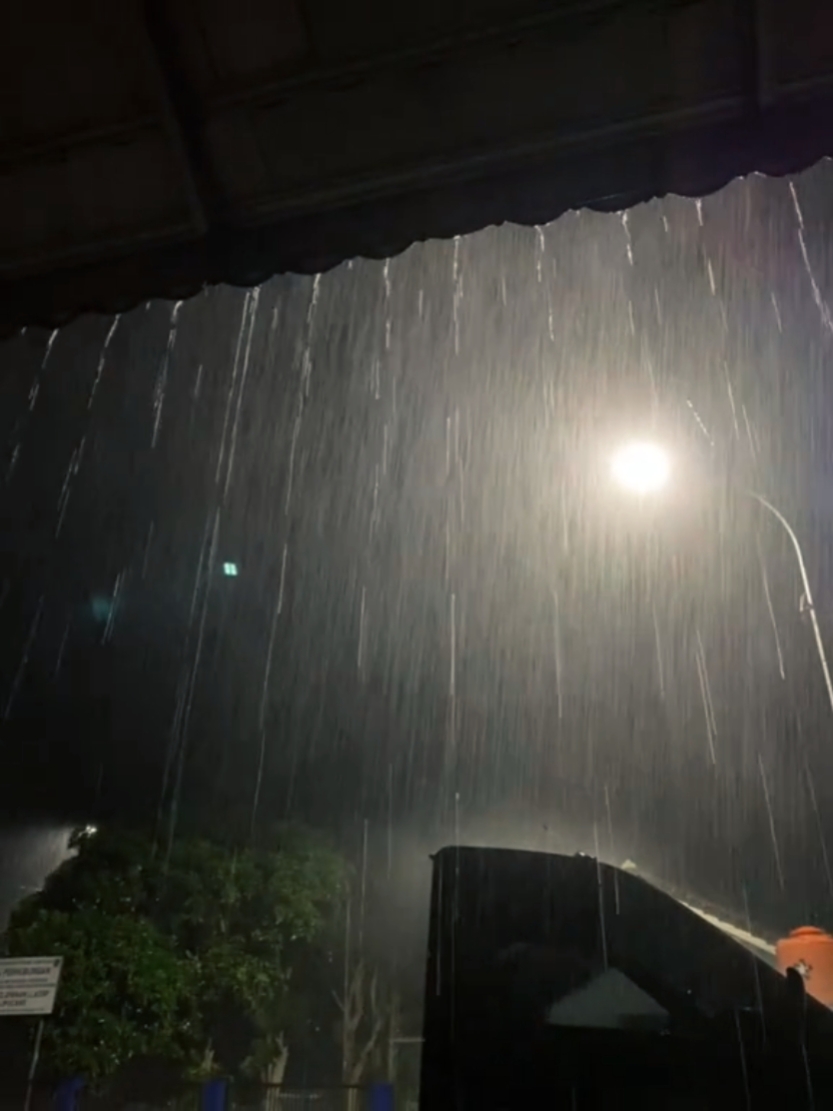 Foto ao vivo 