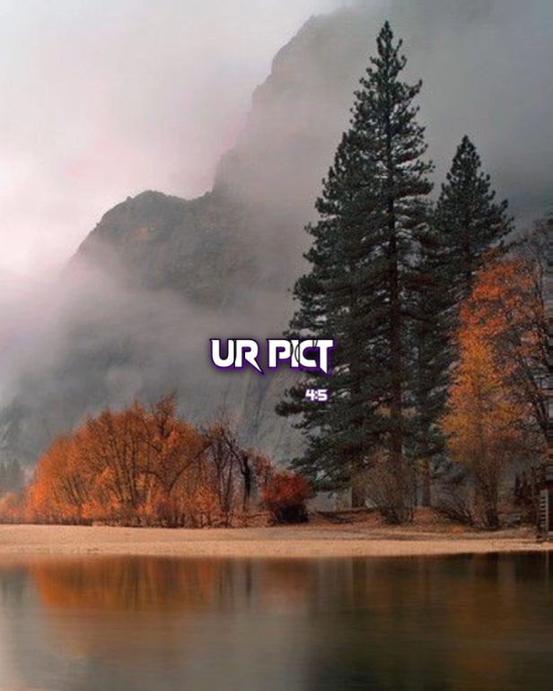 4 photos 