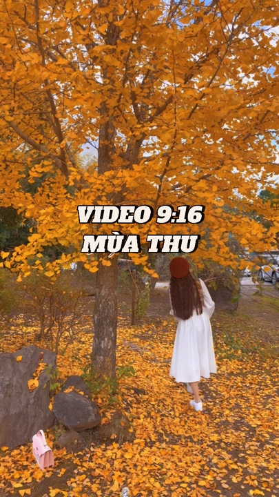 Nhiều video mùa Thu