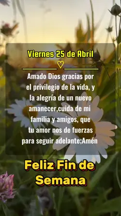 Frases Buenos Días 